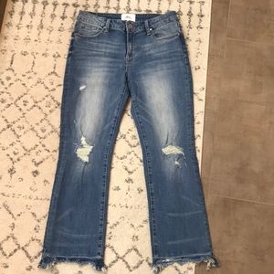 Vici doll ankle crop jeans